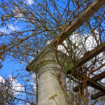 pillar